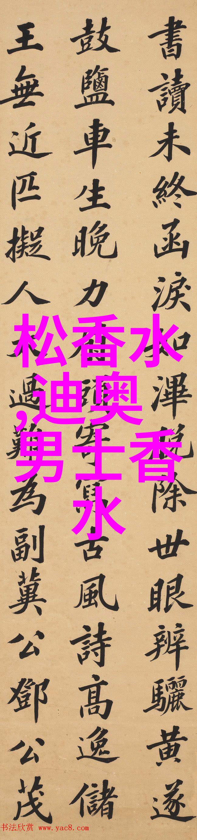 杜嘉班纳2013全新女士香氛